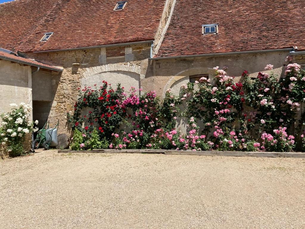 Bed and Breakfast La Buffonnerie Moutiers-Saint-Jean Esterno foto